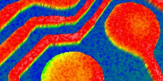 3D Optical Metrology â€“ Versatile Tools for Todayâ€™s Advanced Manufacturing